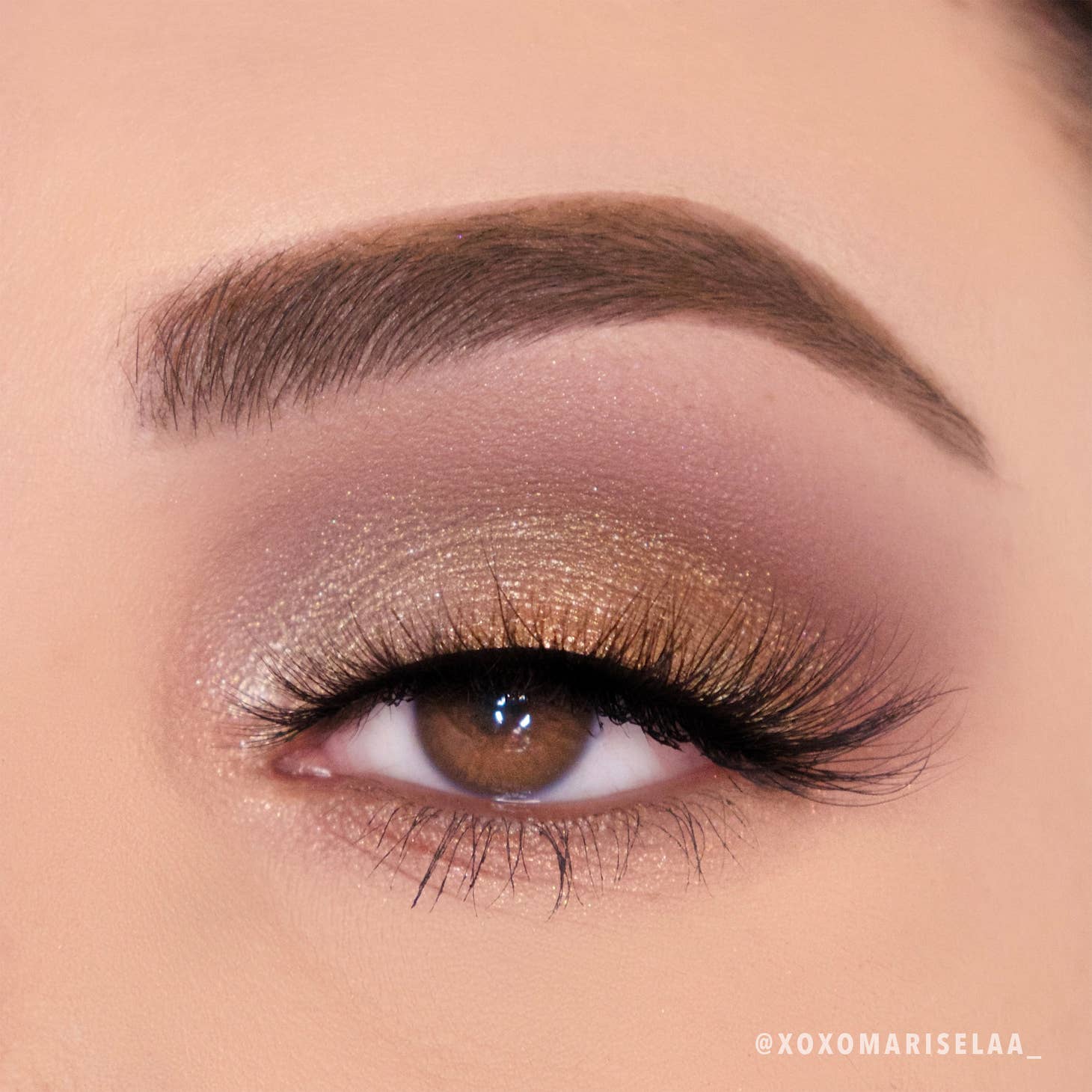 Golden Treasure Palette