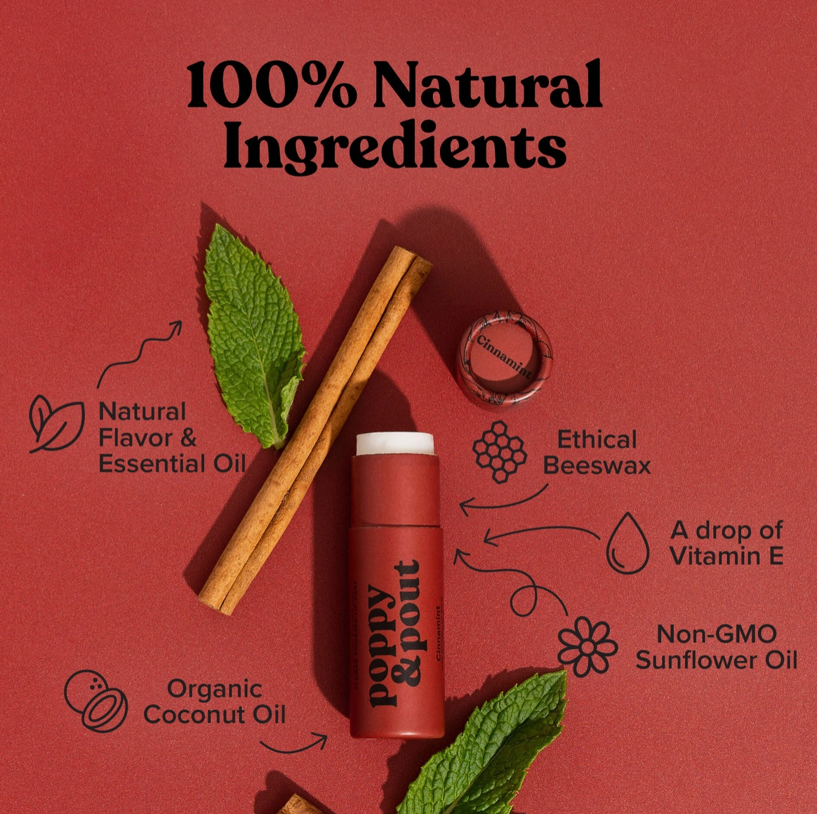 Lip Balm in Cinnamint